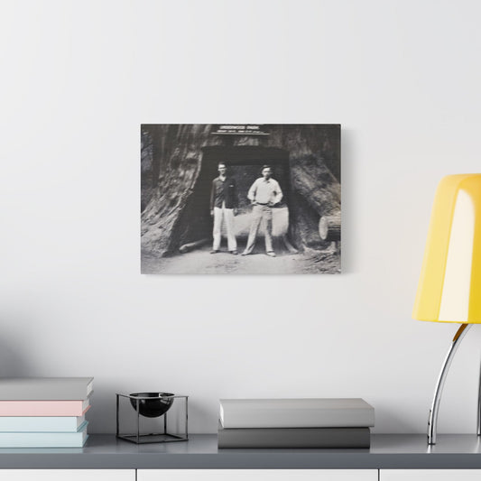 Chandelier Redwood Tree Satin Canvas Stretched