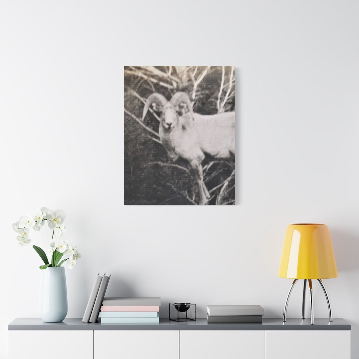Yellowstone Big Horn Sheep Satin Canvas Stretched 24" x 30" (Vertical) 1.5"