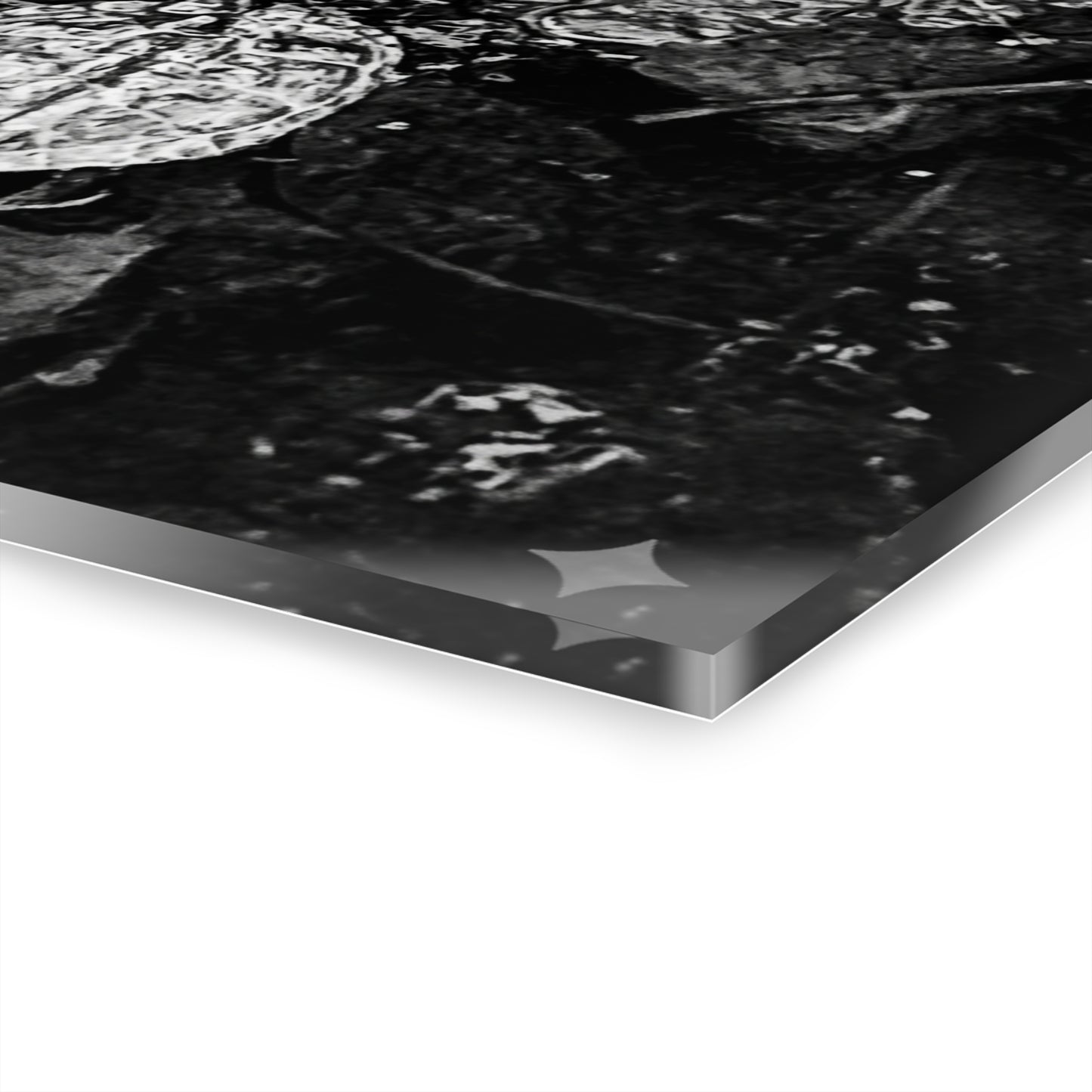 Black & White Turtle Macro Acrylic Print — Modern Nature Wall Art French Cleat Hanging - - Home Decor