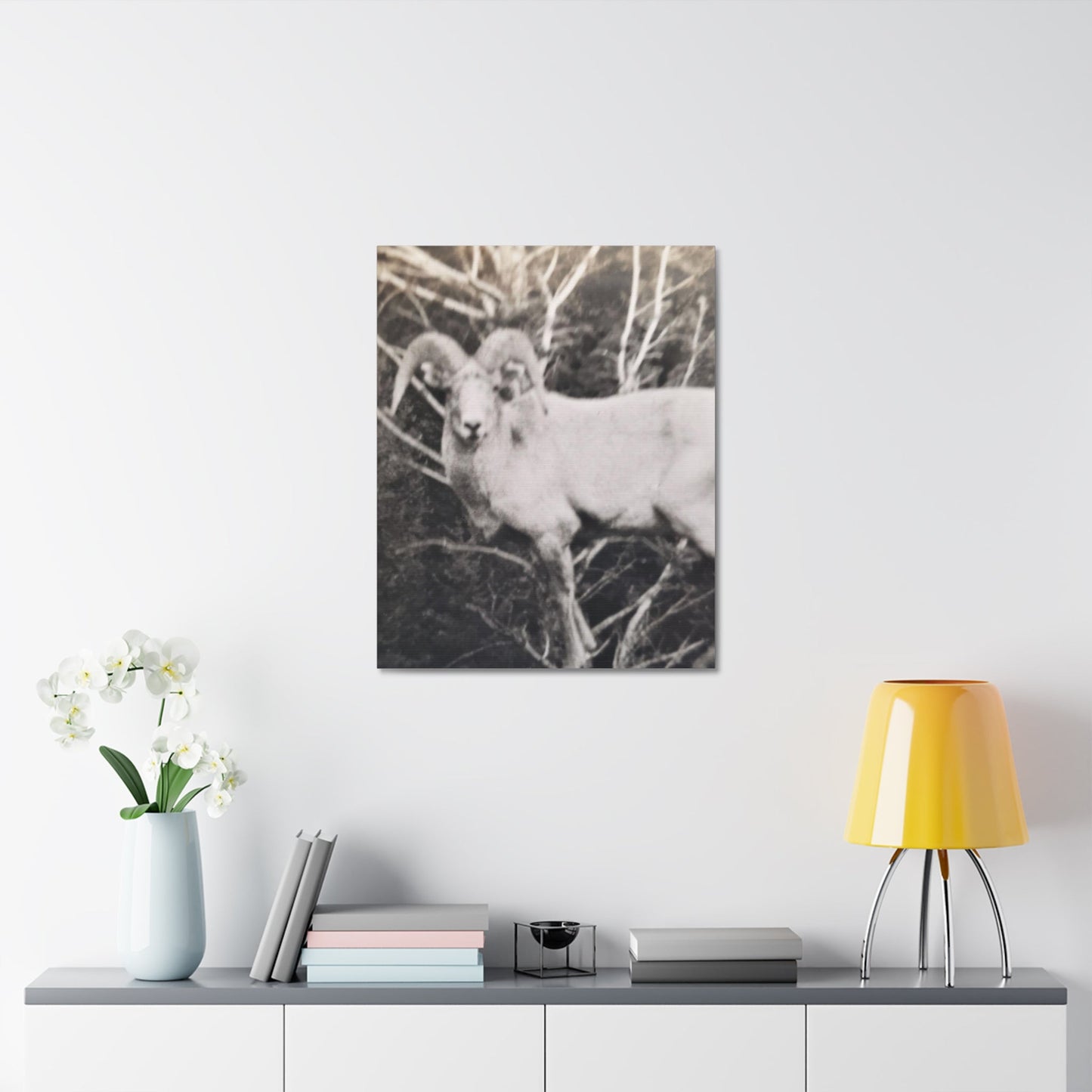 Yellowstone Big Horn Sheep Stretched Canvas 1.5" 24″ x 30″