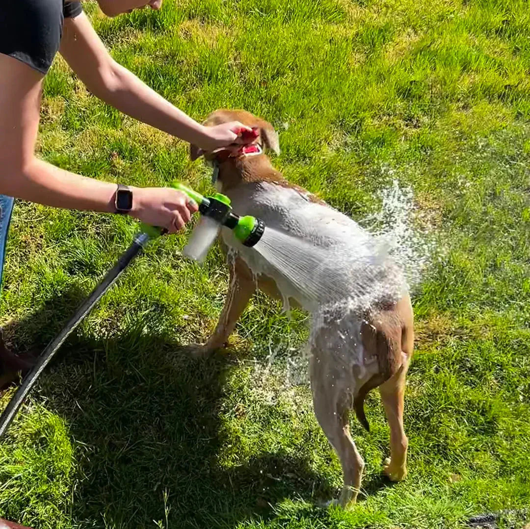 Dog Shower Jet Attachment Kia Day Design