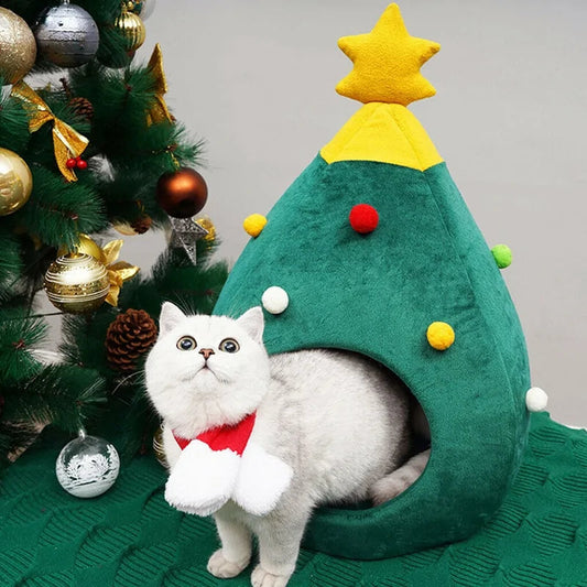 Christmas Cat House Kia Day Design