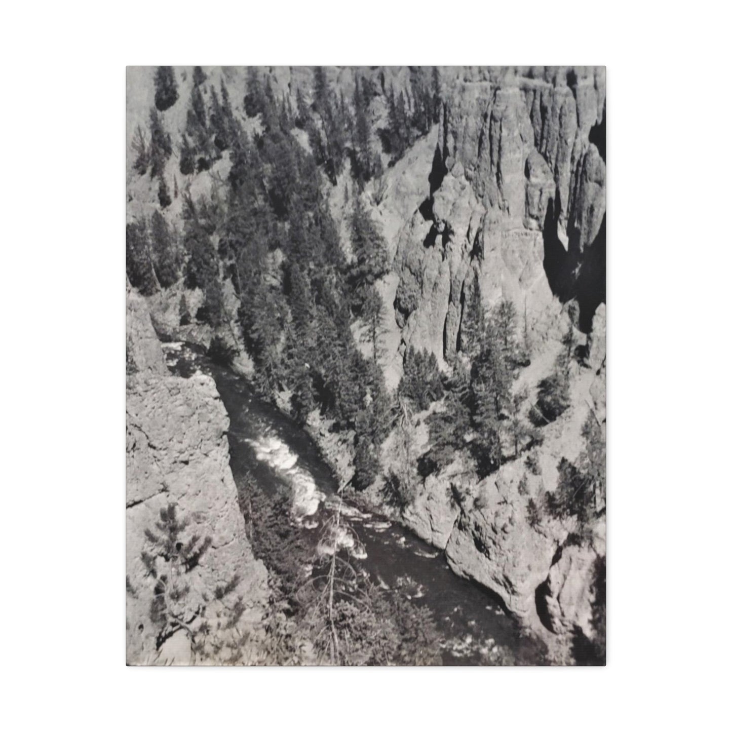 Cleopatras Needle Stretched Canvas