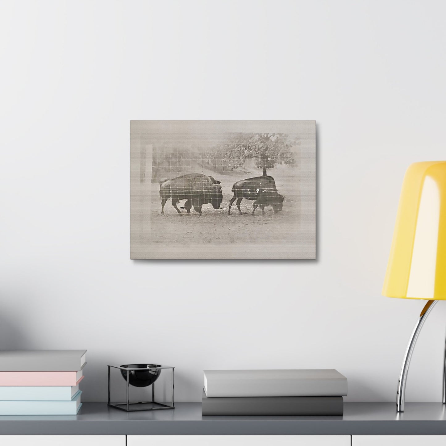 Buffalo at Redwood Falls Stretched Canvas 1.5" 16″ x 12″