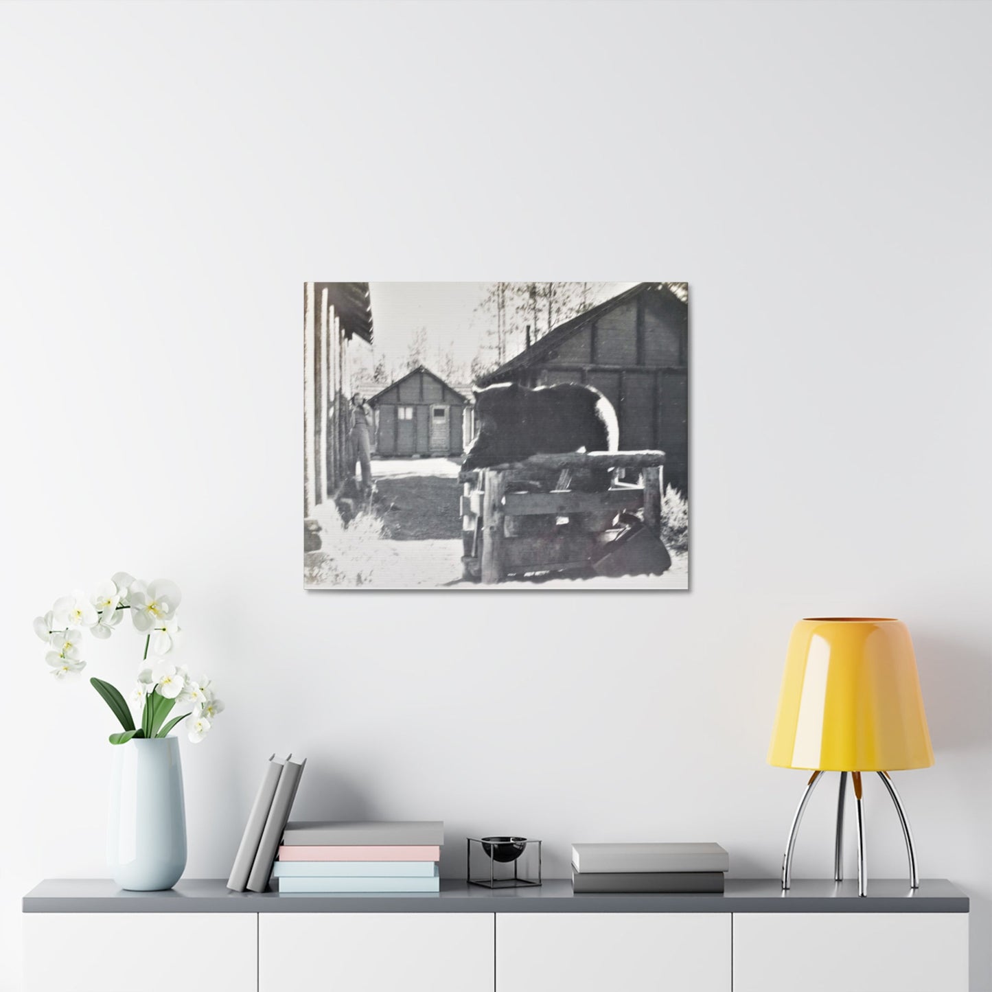 Yellowstone Bear Stretched Canvas 1.5" 30″ x 24″