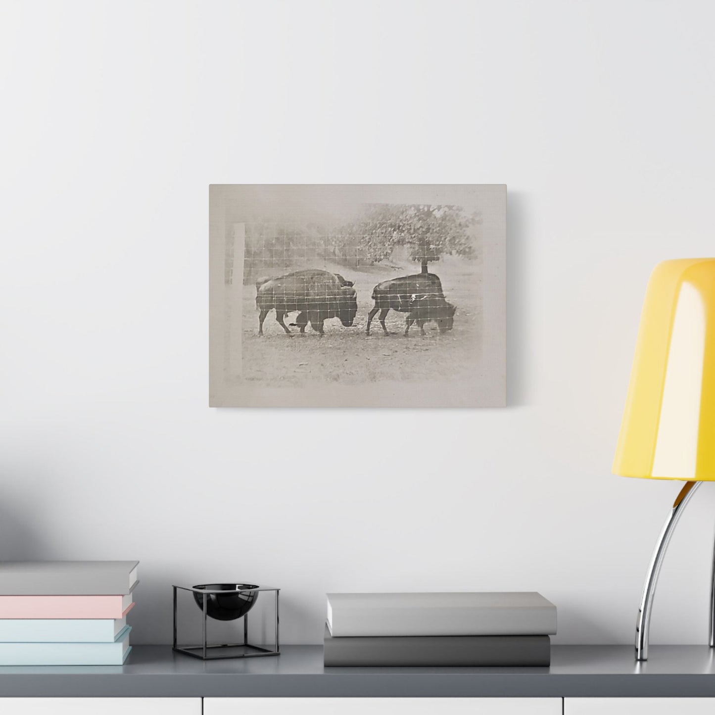 Buffalo at Redwood Falls Satin Canvas Stretched 16″ x 12″ (Horizontal) 1.5"