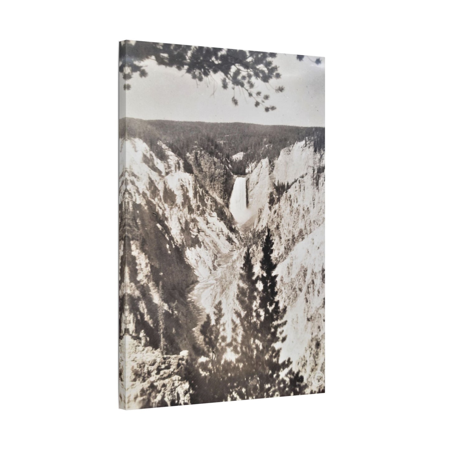 Artists Point Yellowstone Satin Canvas Stretched