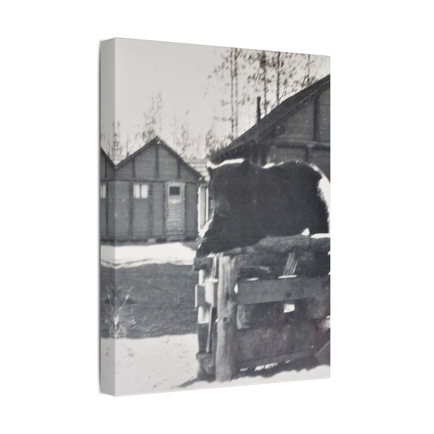 Yellowstone Bear Satin Canvas Stretched