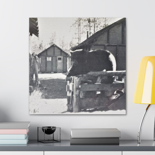 Yellowstone Bear Canvas Gallery Wraps 24″ x 24″ 1.25"