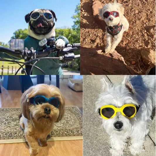 Dog Sunglasses Kia Day Design