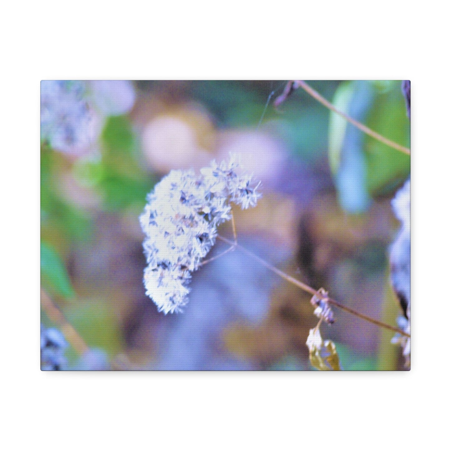 Macro Blue Stretched Canvas Printify