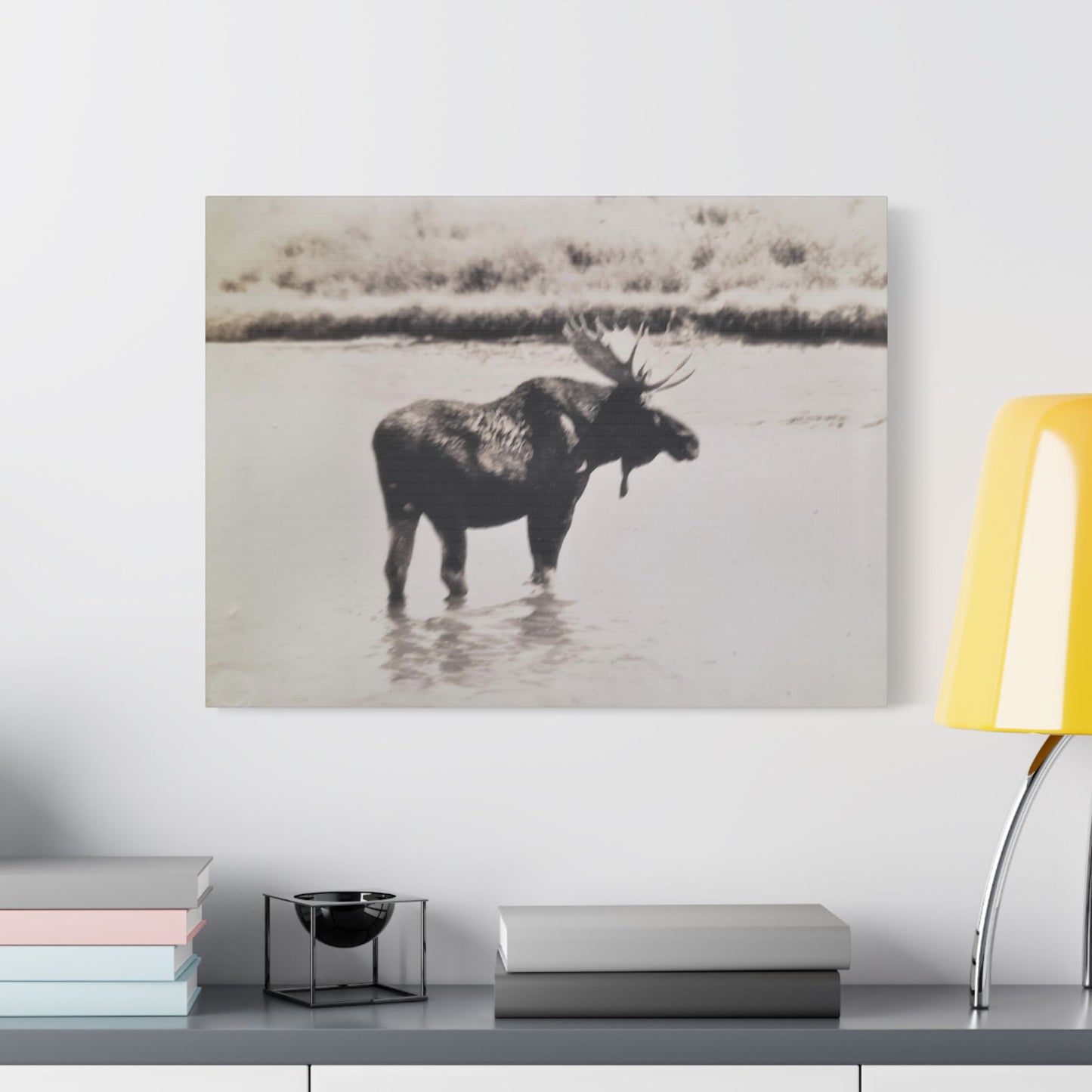 Yellowstone Bull Moose Satin Canvas Stretched 24″ x 18″ (Horizontal) 1.5"