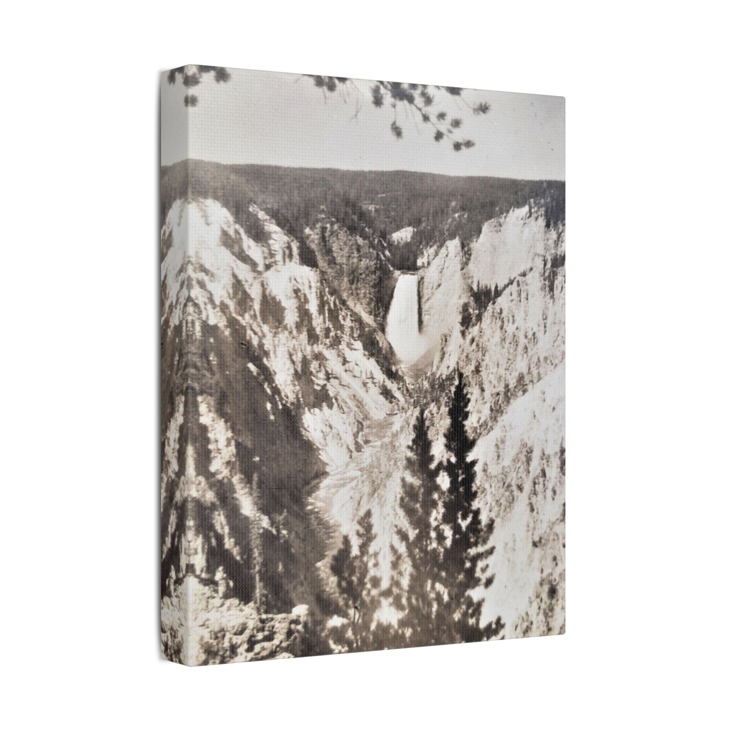 Artists Point Yellowstone Satin Canvas Stretched