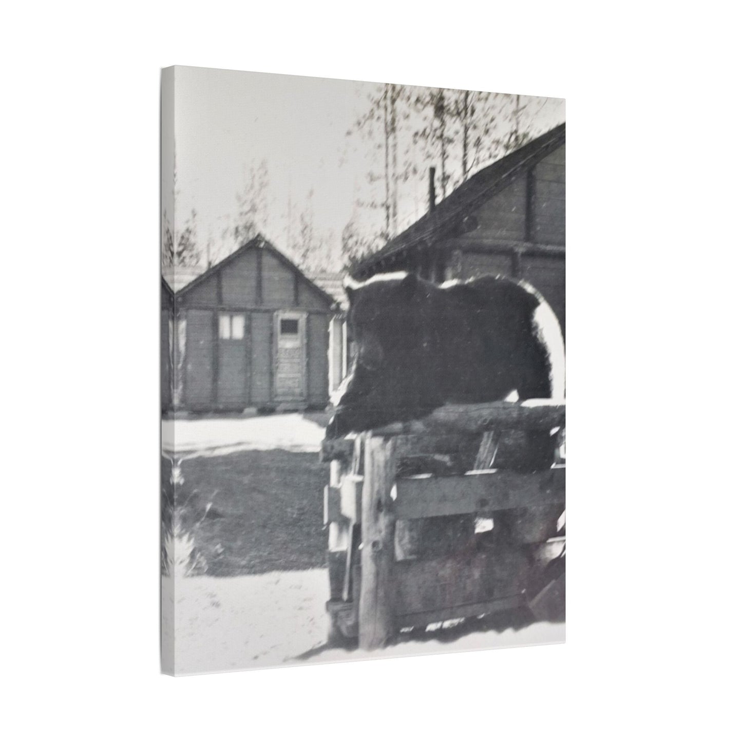 Yellowstone Bear Satin Canvas Stretched