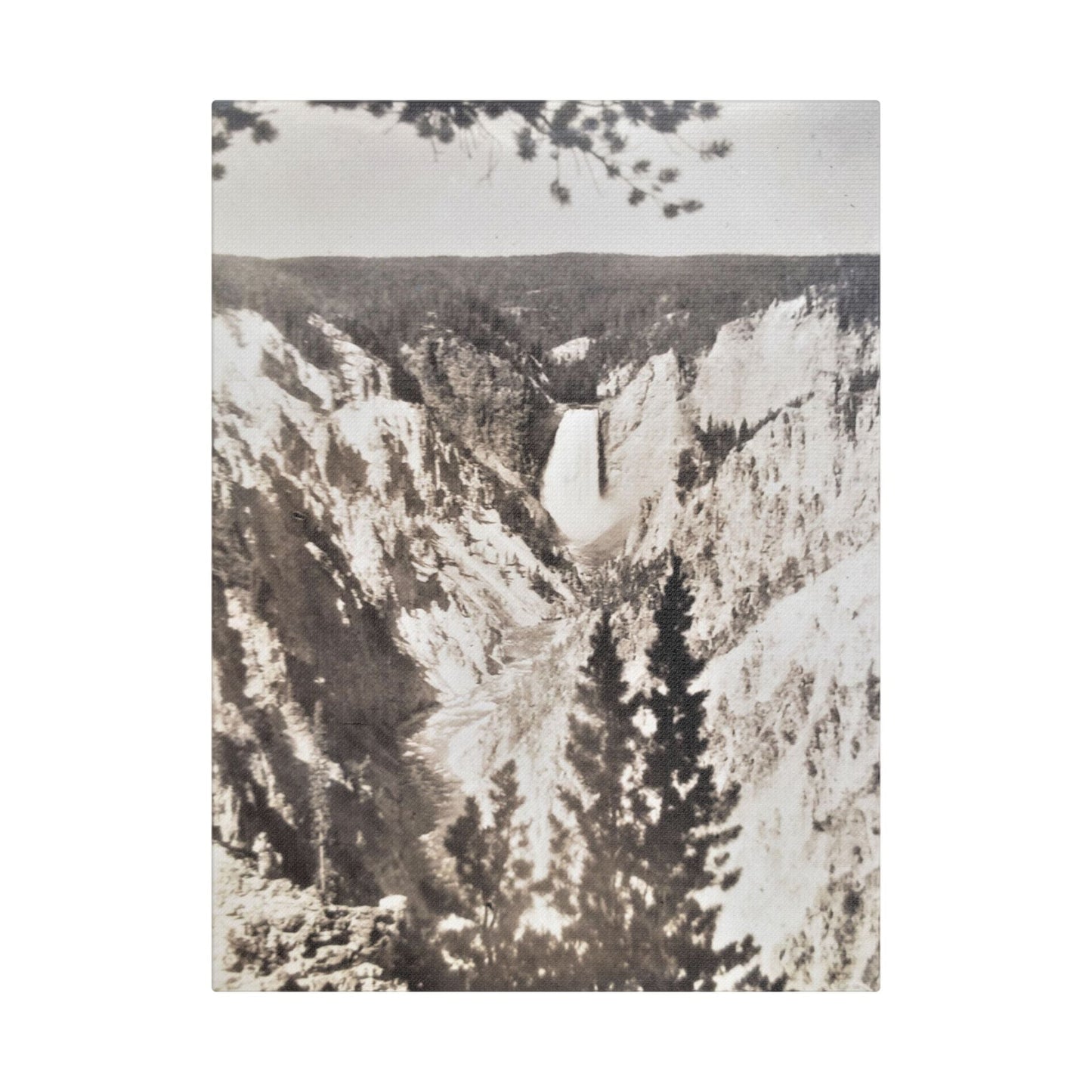 Artists Point Yellowstone Satin Canvas Stretched