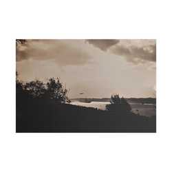 Navy Day New York October 27th 1945 Plane Satin Canvas Stretched