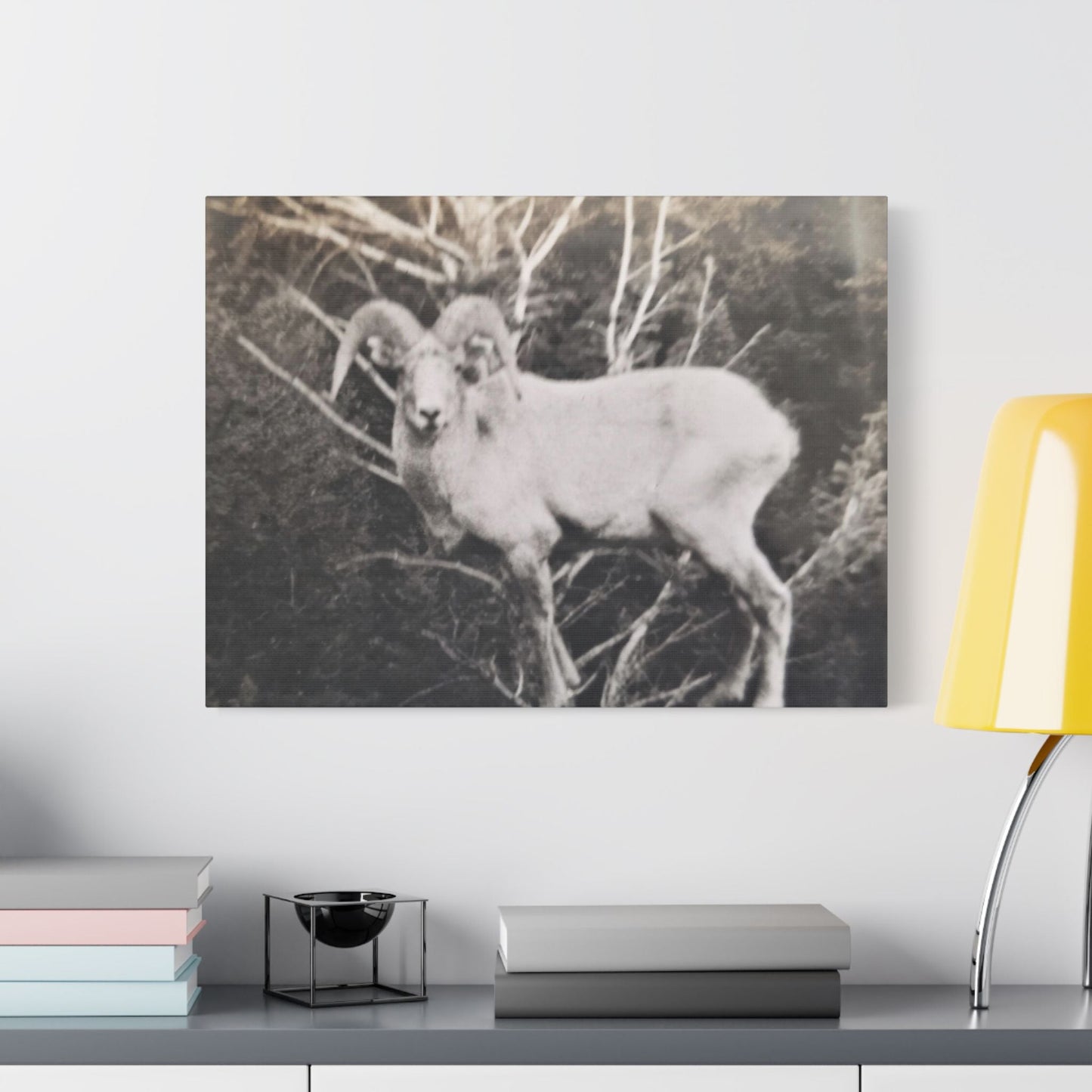 Yellowstone Big Horn Sheep Satin Canvas Stretched 24″ x 18″ (Horizontal) 1.5"