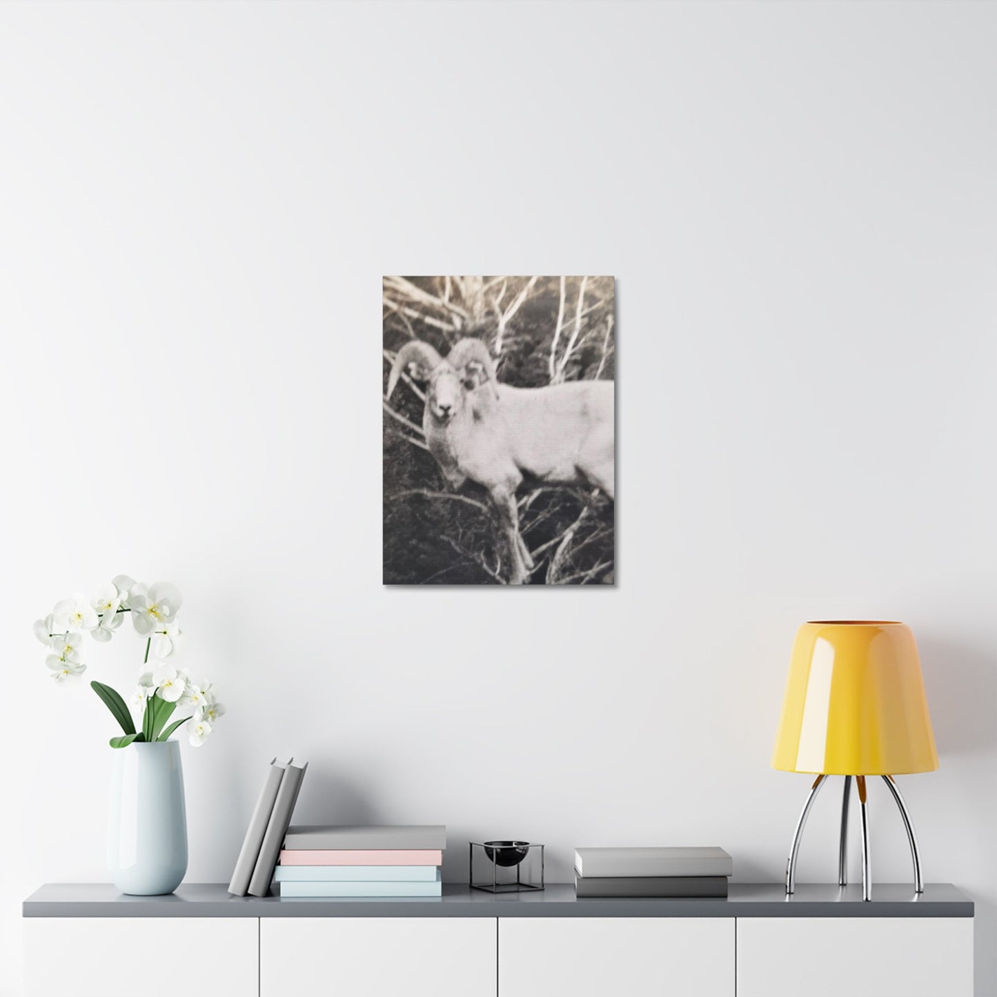 Yellowstone Big Horn Sheep Stretched Canvas 1.5" 18″ x 24″