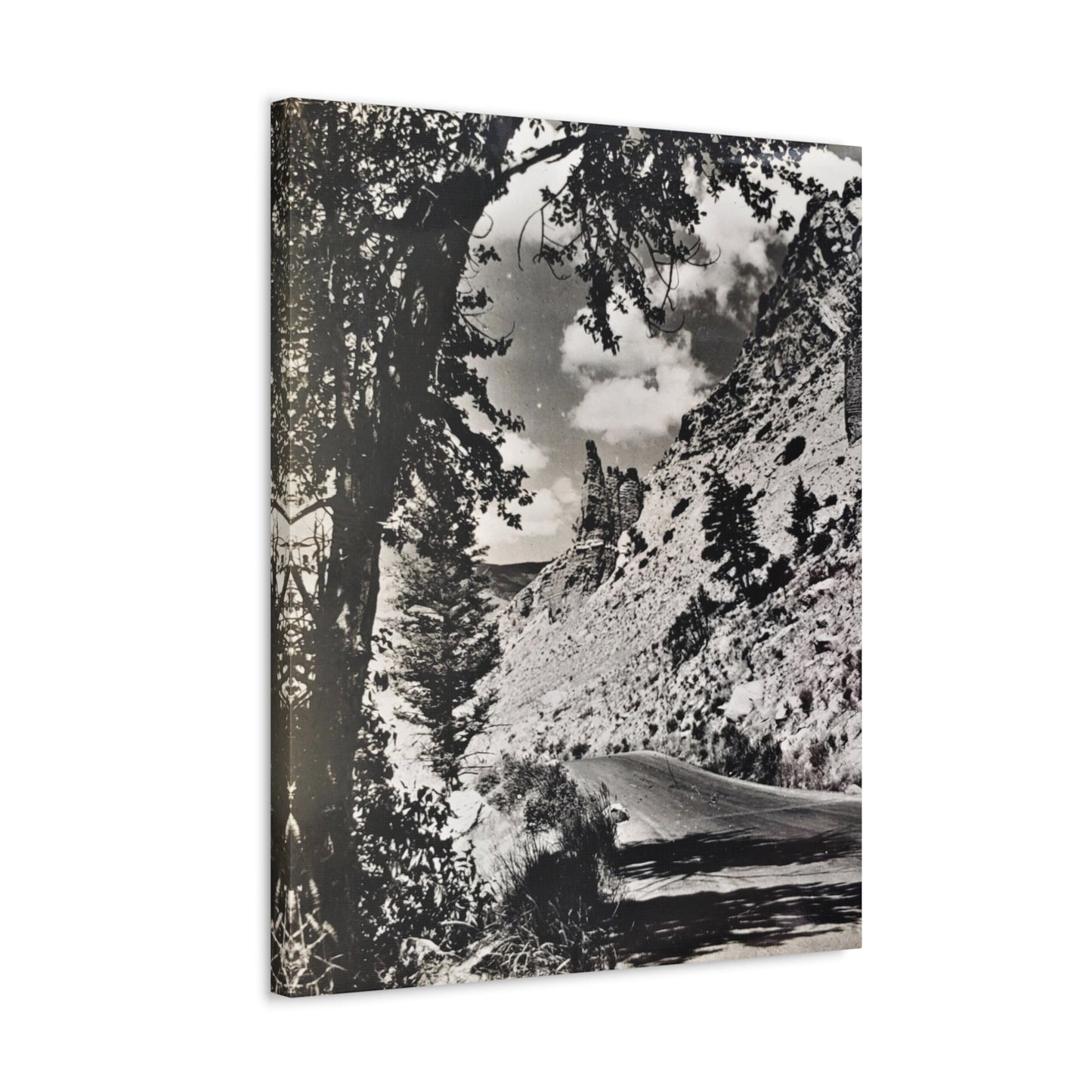 Eagles Nest Rock Yellowstone Stretched Canvas