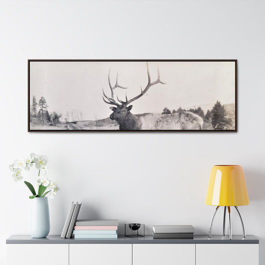 Yellowstone Bull Elk Gallery Canvas Wraps Horizontal Frame 60″ x 20″ Walnut Premium Gallery Wraps (1.25″)