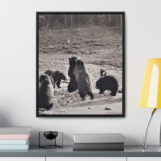 Yellowstone Grizzly Bears Gallery Canvas Wraps Vertical Frame 20″ x 24″ Premium Gallery Wraps (1.25″) Black
