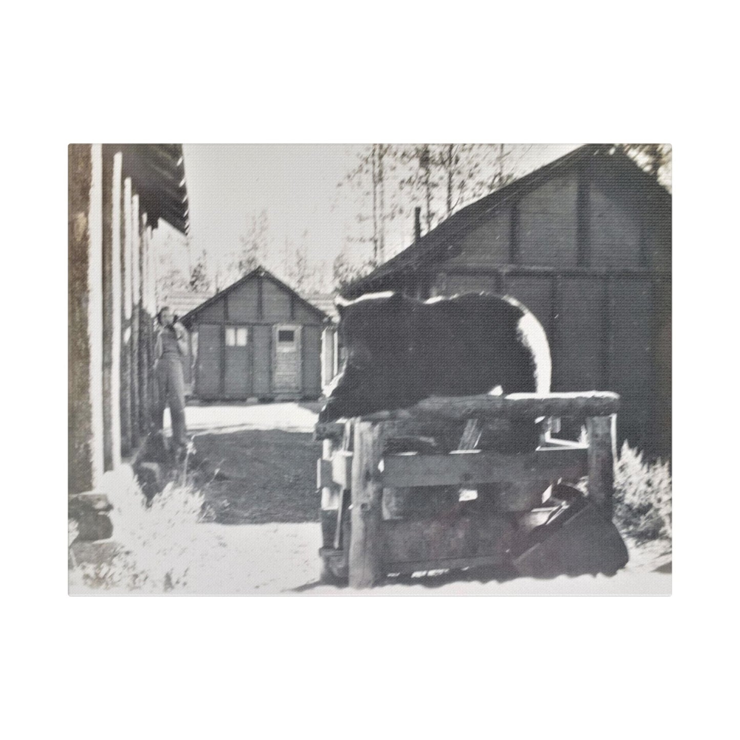 Yellowstone Bear Satin Canvas Stretched 16″ x 12″ (Horizontal) 1.5"