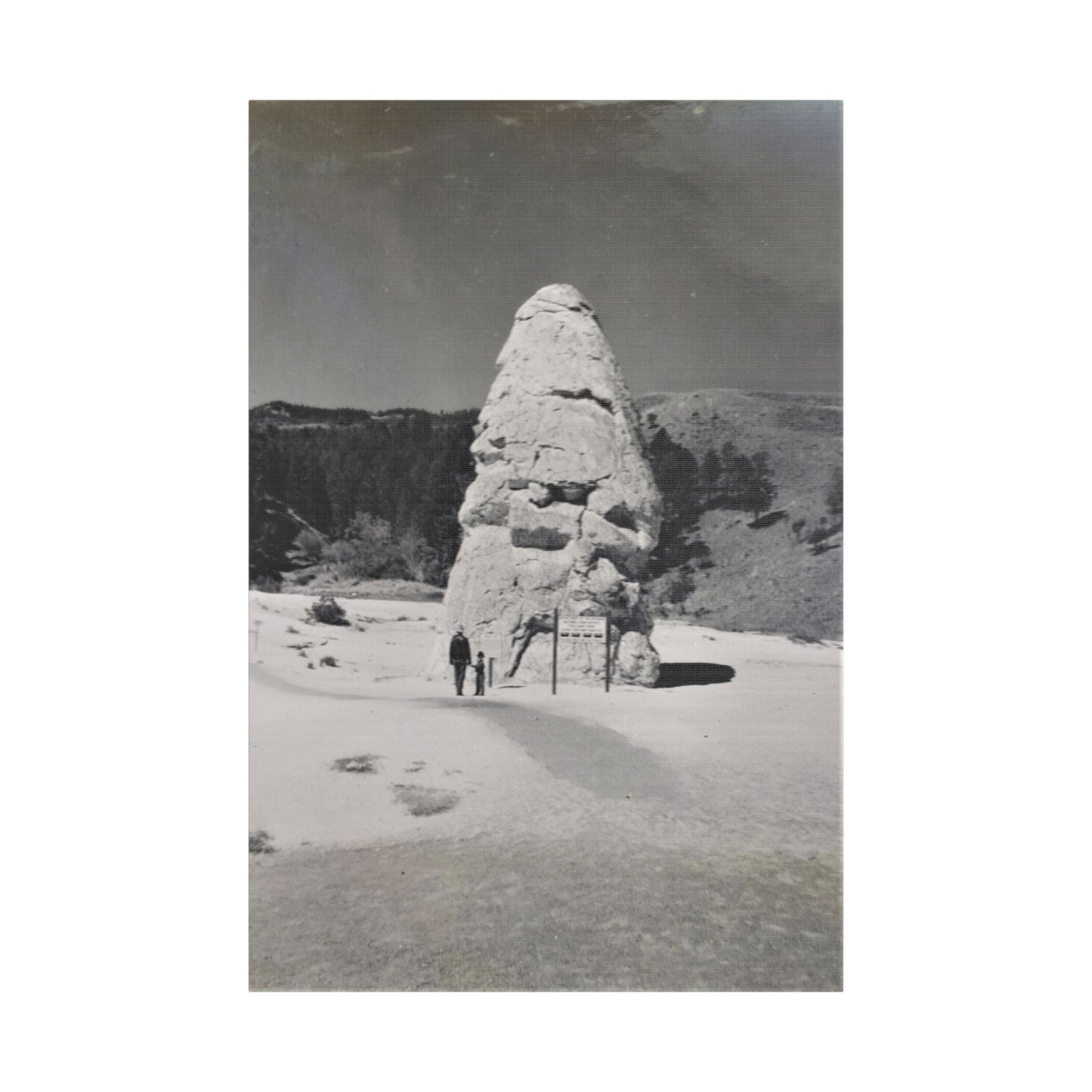 Liberty Cap Yellowstone Satin Canvas Stretched