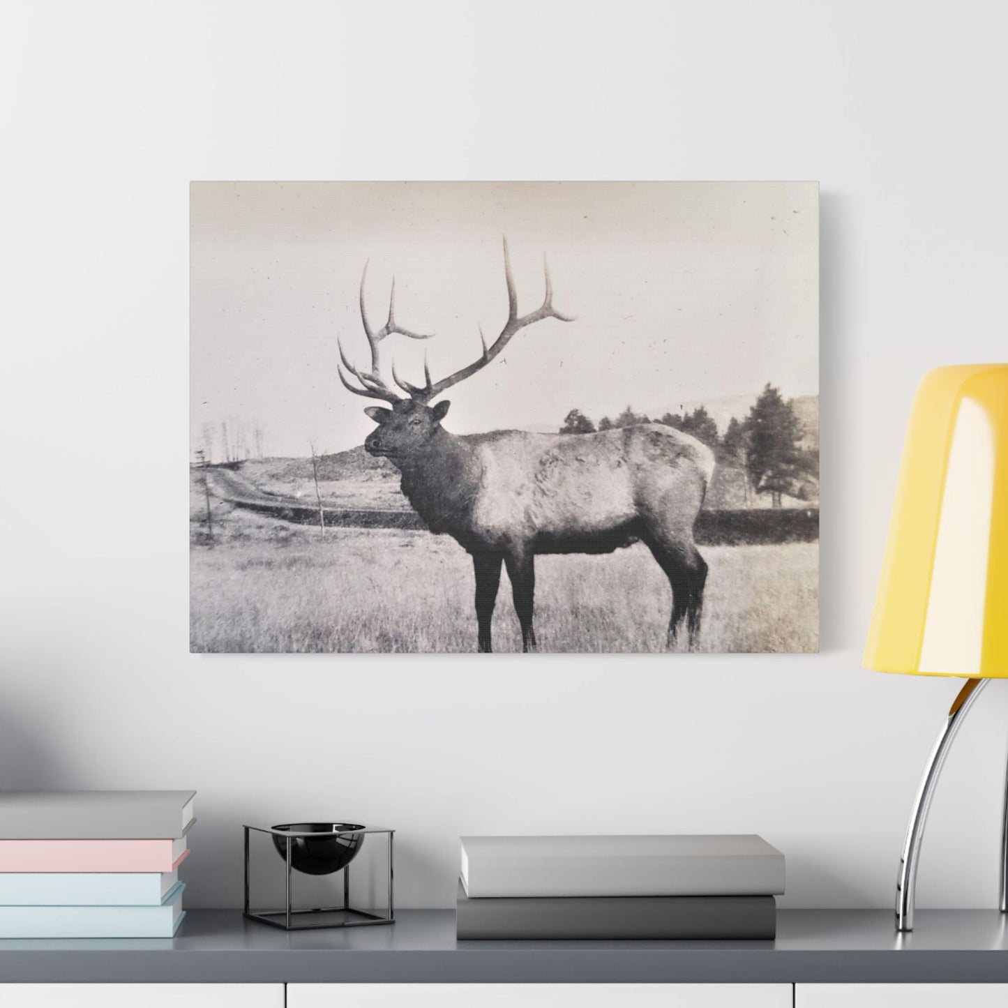 Yellowstone Bull Elk Satin Canvas Stretched 24″ x 18″ (Horizontal) 1.5"