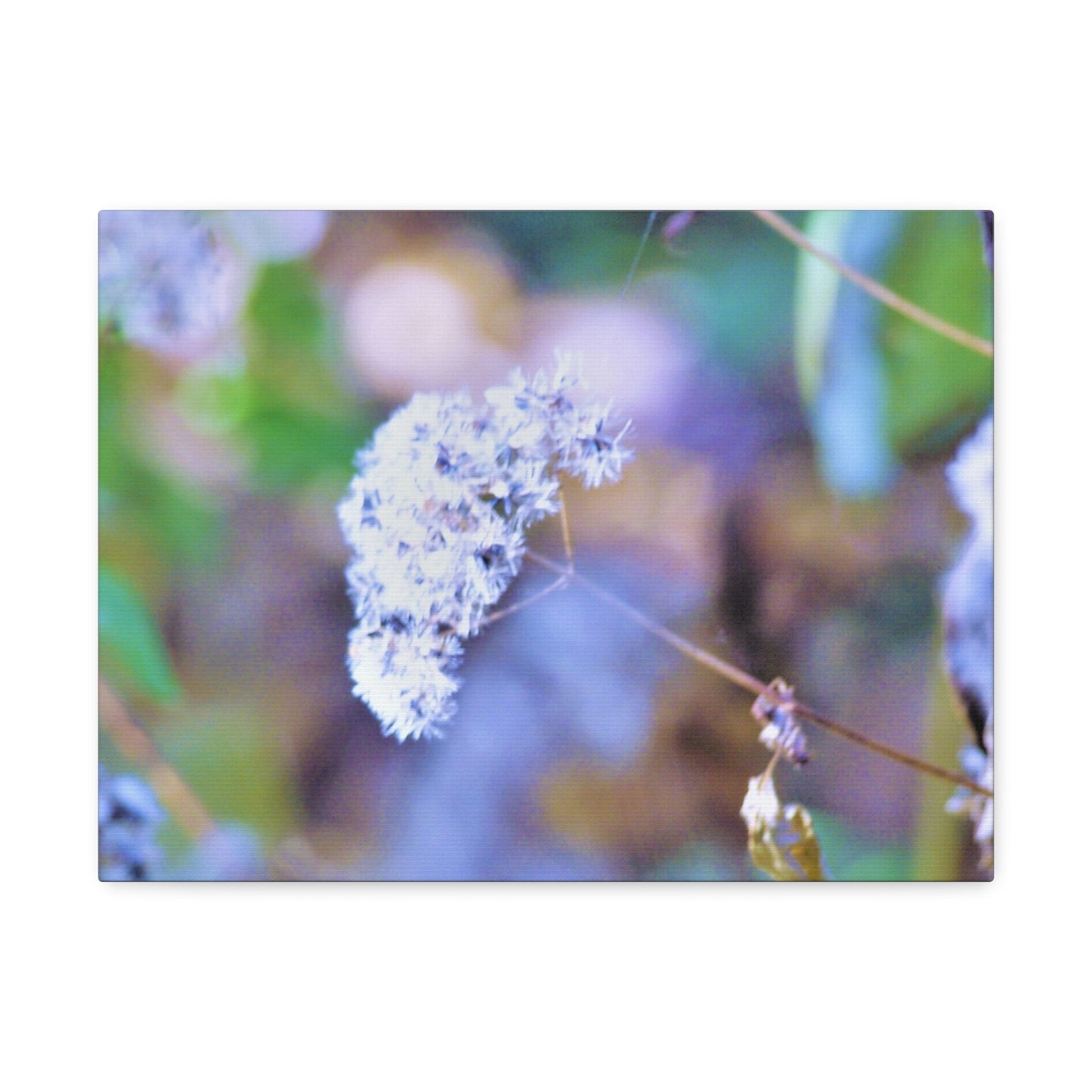 Macro Blue Stretched Canvas Printify