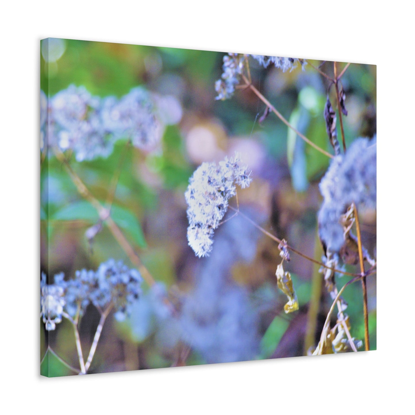 Macro Blue Stretched Canvas Printify