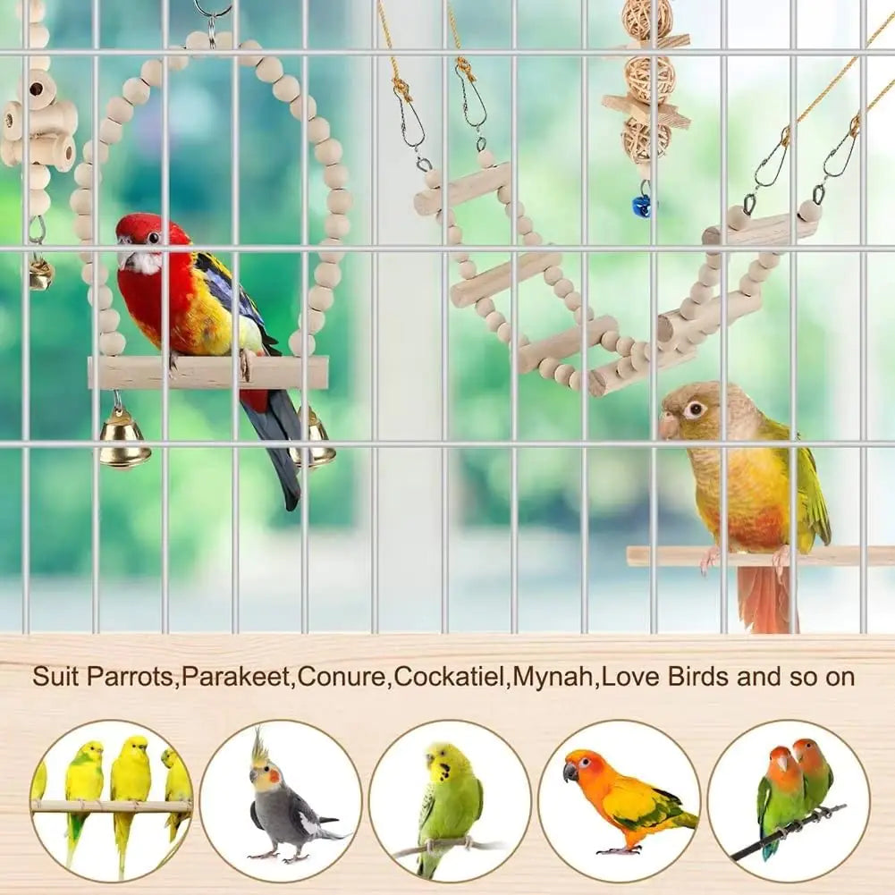 Bird Parrot Swing Toys Kia Day Design