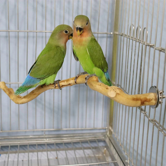 Wooden Bird Perch - - pet