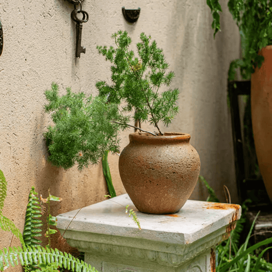 Distressed Cement Plant Pot - - pots