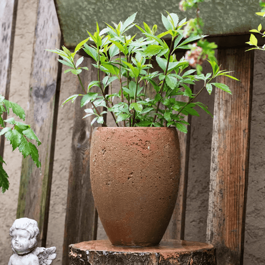 Distressed Cement Plant Pot Tall - - pots