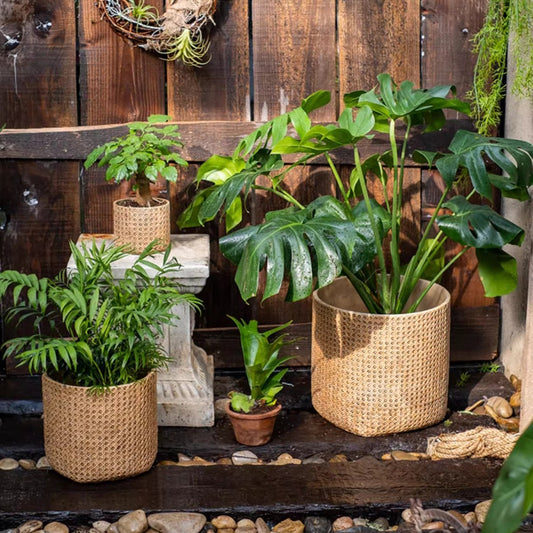 Rattan Texture Cement Planter - - Planter