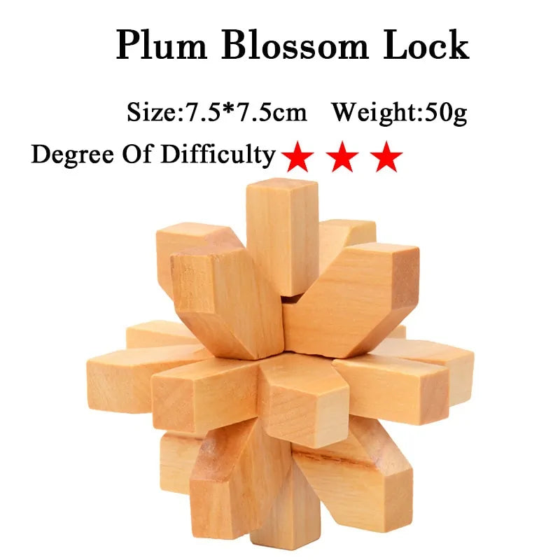 3D Wooden Brain Teaser Game - Kia Day Design