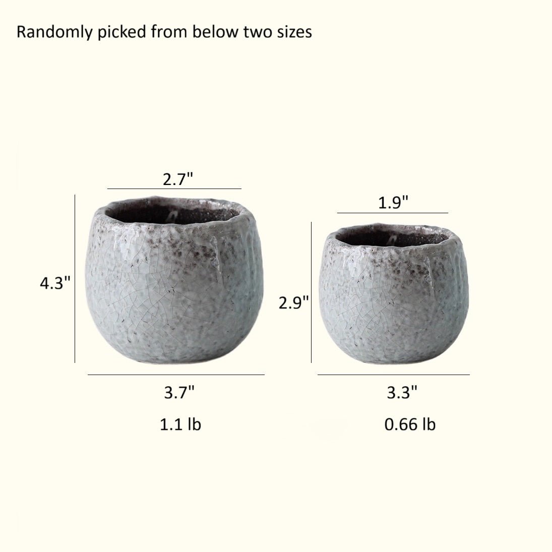 Crackle Glazed Succulent Pot Randomly Picked Set of 5 - -