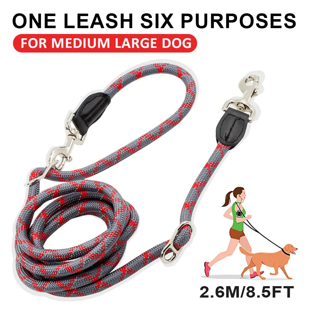 Dog Training Leash Reflective Kia Day Design