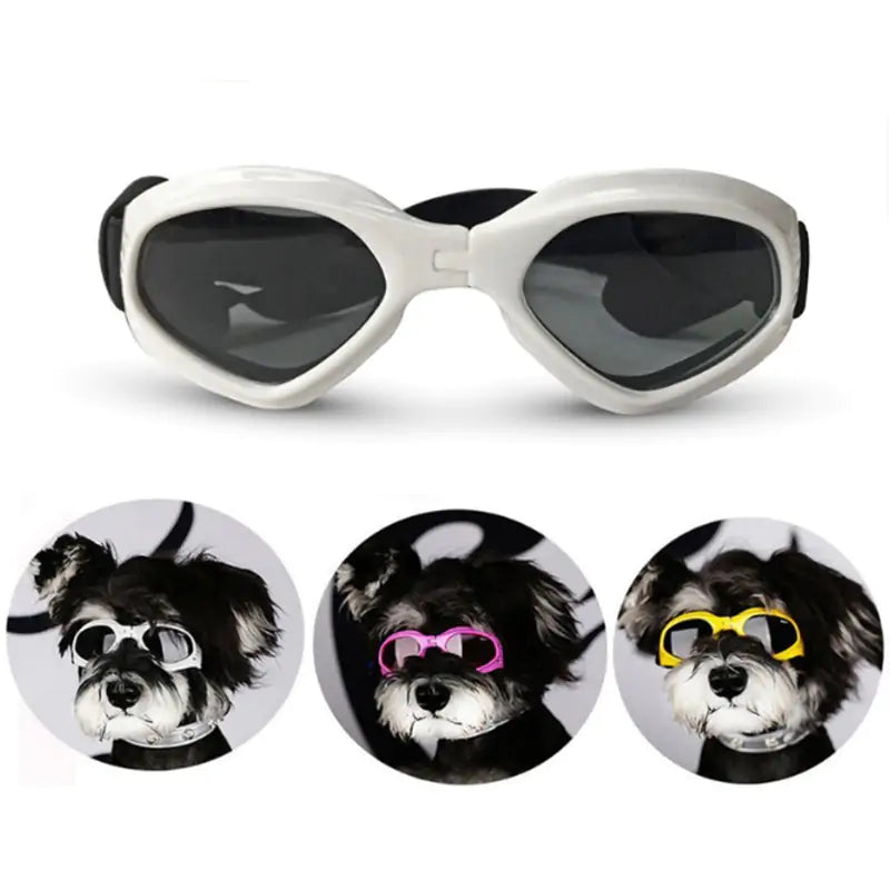 Dog Sunglasses Kia Day Design