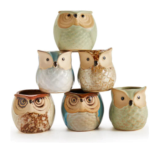6-Piece Owl Pot Ceramic Glaze Base Set Kia Day Design