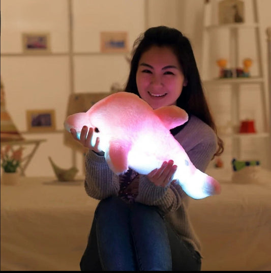 Colorful Dolphin Plush Doll Toy Kia Day Design