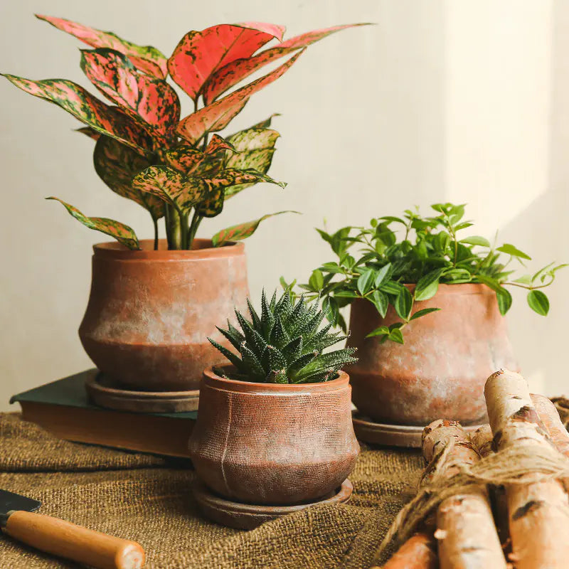 Decorative Red Terracotta Flowerpot - Kia Day Design