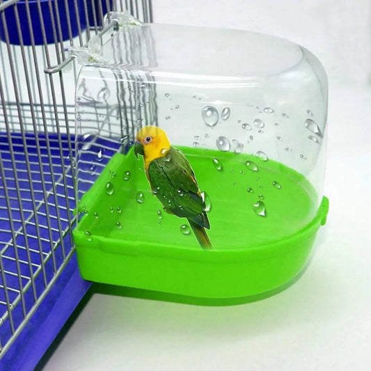 Parrot Bird Bathtub Box Kia Day Design