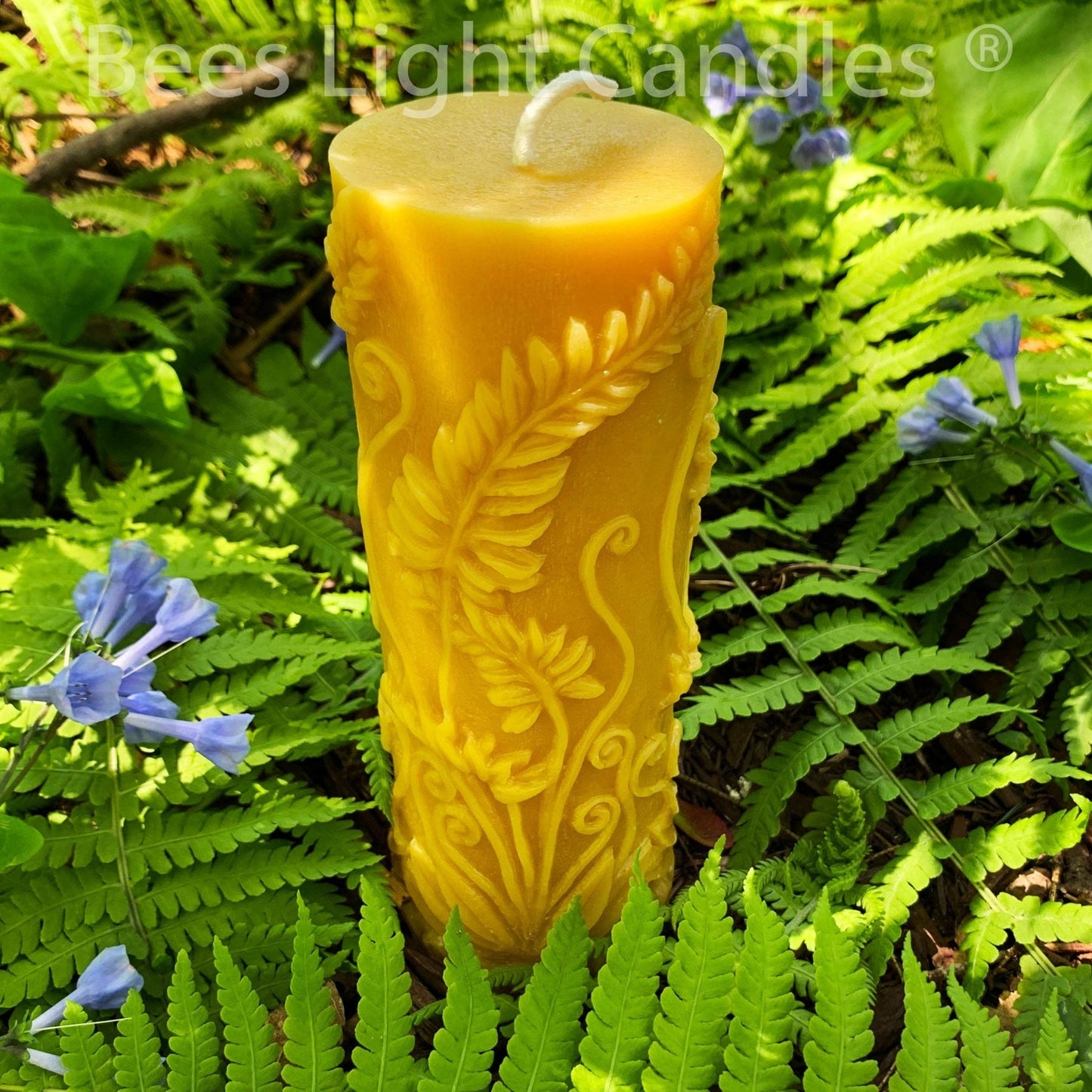 Fern Pillar Beeswax Candle in Yellow or White - - Candles