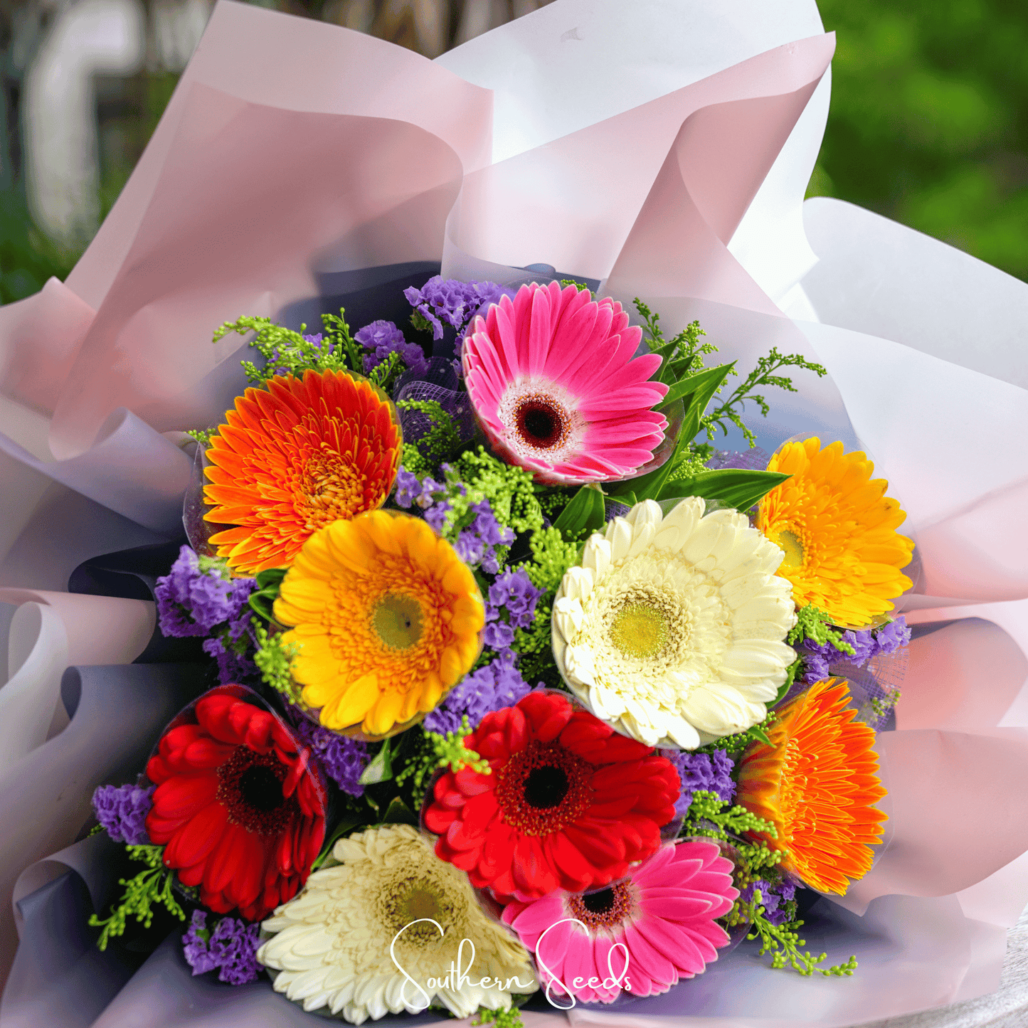 Gerbera Daisy Mix – 20 Seeds - - Seeds