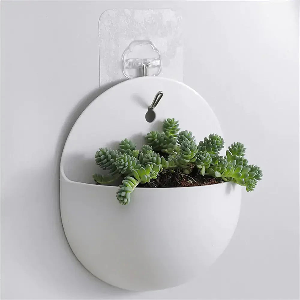 Hanging Flower pot Kia Day Design
