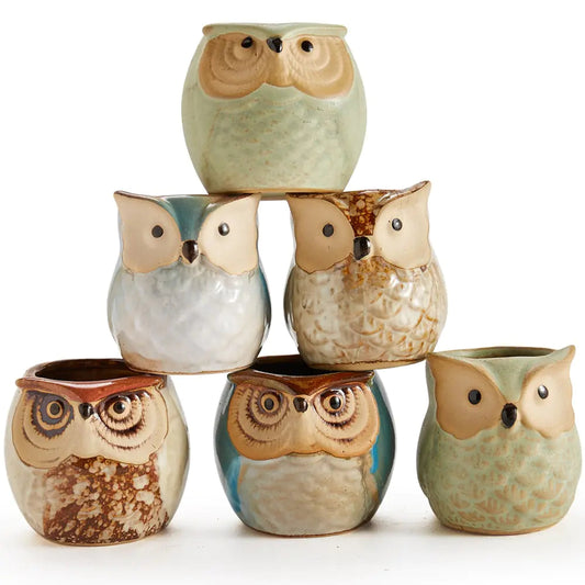6-Piece Owl Pot Ceramic Glaze Base Set Kia Day Design