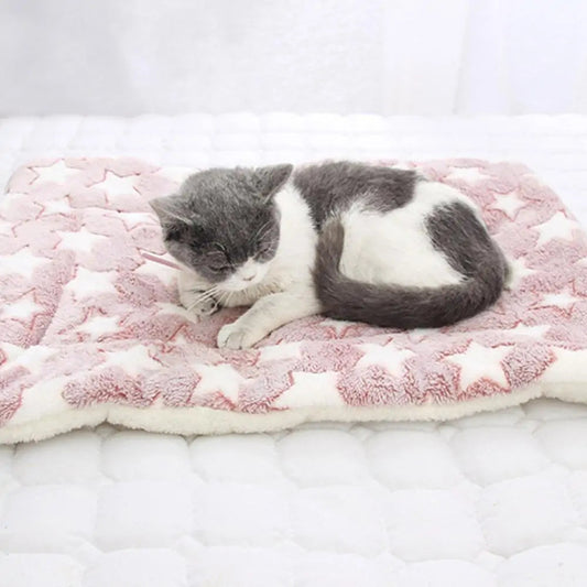 Pet Blankets - Kia Day Design