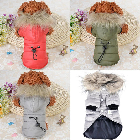 Warm Winter Dog Coats - Kia Day Design