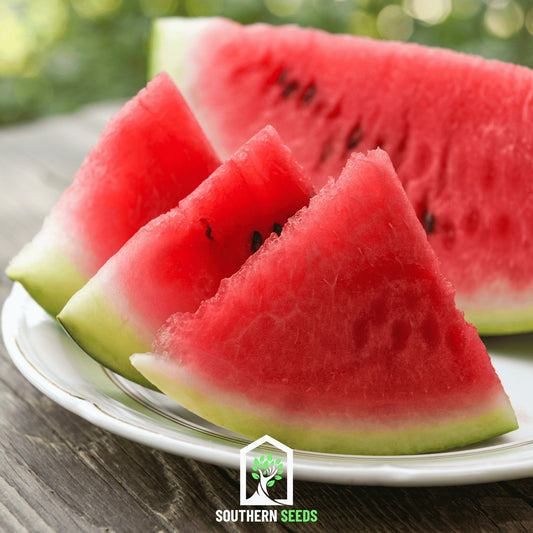 Melon Seed Collection Watermelon Cantaloupe Honeydew - - Seeds